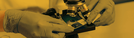 Microscopía óptica avanzada