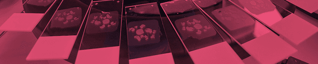 Gestión de laboratorios