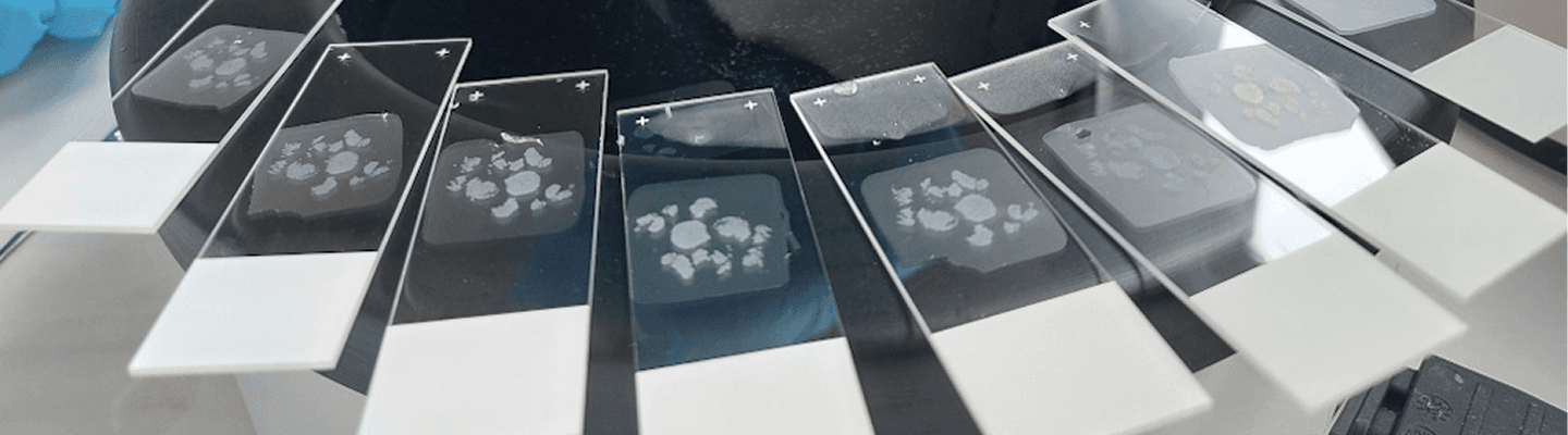 Gestión de laboratorios