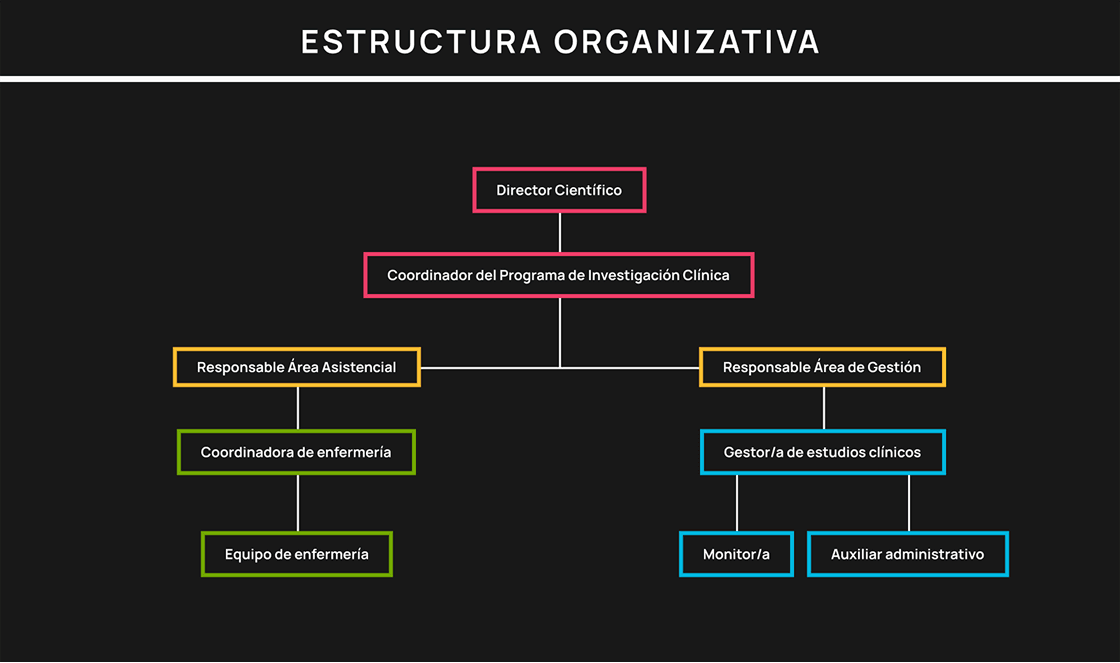 Estructura organizativa